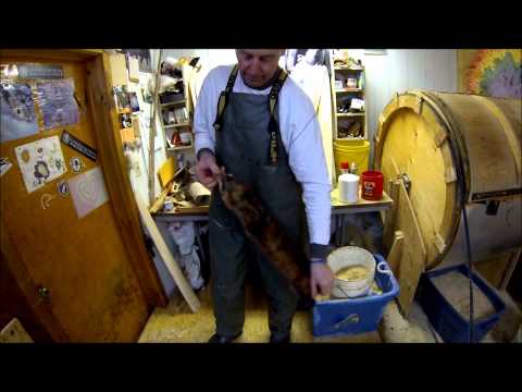 Видео: Серия Fur Master — вытачивание и пересадка куниц