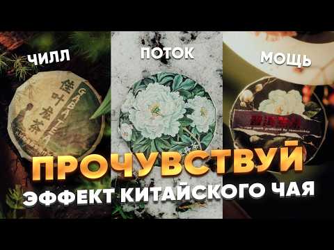 Видео: Какой чай пьянит? Отвечает чайный мастер