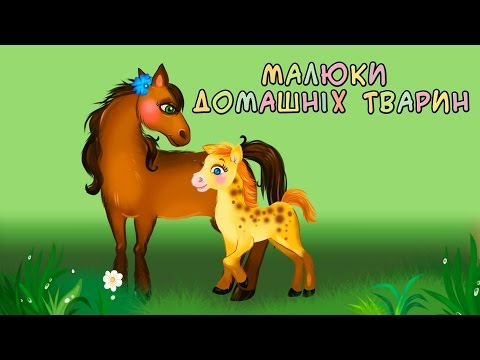 Видео: Малюки домашніх тварин | Кумедні хвостики