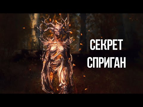 Видео: Skyrim Секреты Сприган   Самое Секретное Существо в Серии ТЕС