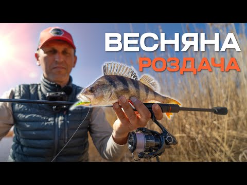 Видео: Роздача хижака на мілководді. 3 покльовки на проводці на ультралайтовий спіннінг