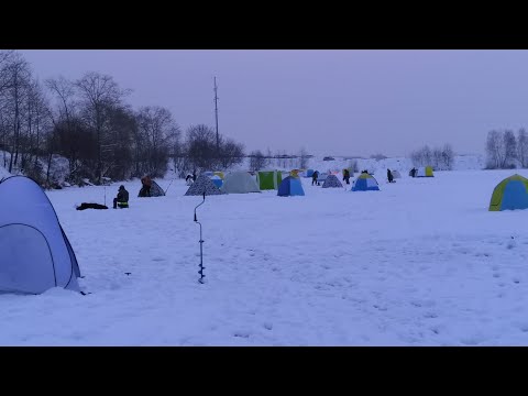 Видео: Зимняя рыбалка в Подмосковье 2019 На Кудиновском карьере