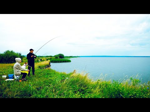 Видео: Здесь хорошо! Дикий берег Сурского водохранилища