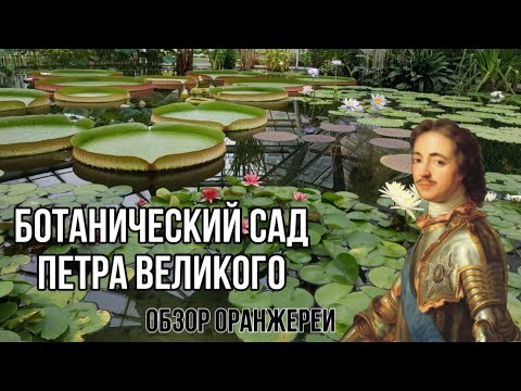 Видео: Прогулка по оранжереи Ботанического сада Петра Великого || Прогулки в Петербурге