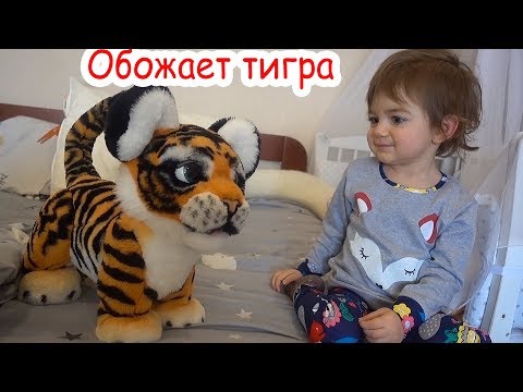 Видео: VLOG Обычный день в кругу семьи. Наши будни.