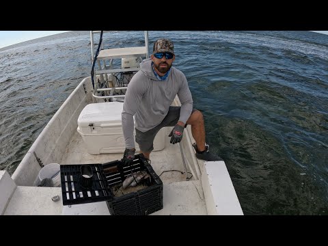 Видео: Грабители крабовых ловушек обошлись мне в сотни!!!!