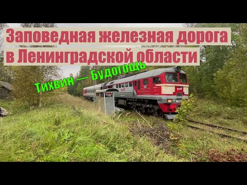 Видео: Заповедная железная дорога в Ленинградской области. Из Тихвина в Будогощь.