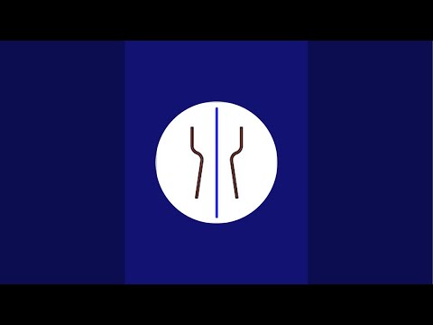 Видео: Roman Pisnyi (RamChan) в прямом эфире! Сборка китайского Солекс 21073.