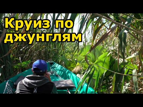 Видео: КРУИЗ по ДЖУНГЛЯМ | Путешествия по дельте | Рыбалка в Мумре