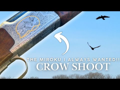 Видео: ОРУЖИЕ, МЕЧТА ИЗ ДЕТСТВА!! ТЕПЕРЬ НЕ ТАК.. | СТРЕЛЬБА ПО ВОРОНАМ ИЗ РУЖЬЯ MIROKU MK70 GRADE 6