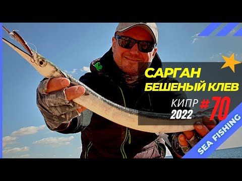 Видео: Сарган разрывает воблеры! Бешеный клев! 🔥 Рыбалка на Кипре 🇨🇾 Часть 70 Сезон 2022