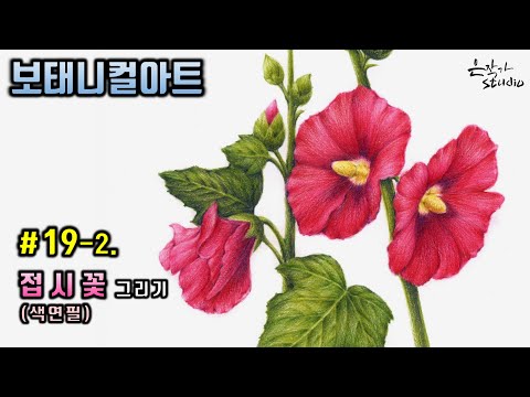 Видео: [Цветочный рисунок / Ботаническое искусство] №19-2. Рисунок цветным карандашом Холлихока