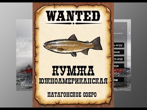 Видео: Ловим мутантов в РР3. Кумжа южноамериканская.