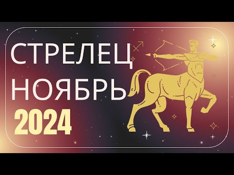 Видео: Стрельцы Ноябрь 2024 года - что ожидает этот знак зодиака