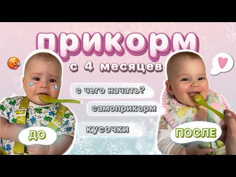 Видео: Как правильно ввести ПЕРВЫЙ прикорм с 4 месяцев | ОШИБКИ прикорма | кусочки | самоприкорм наш опыт