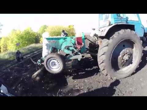 Видео: Про Чеснок 2018: сажаем чеснок в поле - крупные зубчики. Часть третья.