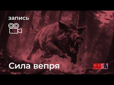 Видео: Александр Литвин: сила вепря