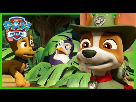 Видео: Jungle Rescue: Кученцата помагат на пингвините да се върнат у дома! - PAW Patrol Bulgarian