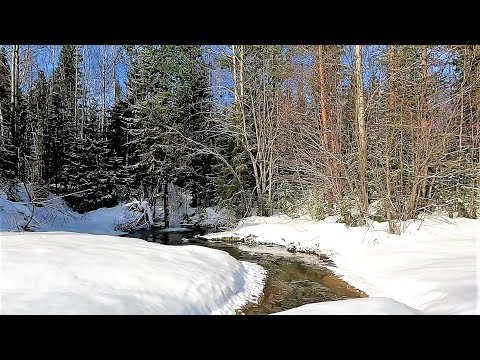 Видео: РЫБАЛКА НА РОДНЫХ ПРОСТОРАХ \ Часть 1 \ Заезд