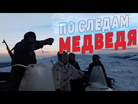 Видео: МЕДВЕДЬ РАЗОГНАЛ ВСЁ СТАДО ОЛЕНЕЙ. ПО СЛЕДАМ МЕДВЕДЯ. ОХОТА В ЯКУТИИ.