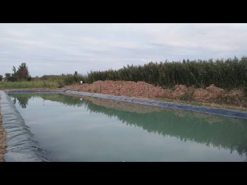 Видео: 900 тонналык геомембранадан жасалган суу кампа. Сугат, малина, бассейн, капельное орош. Новопокровка