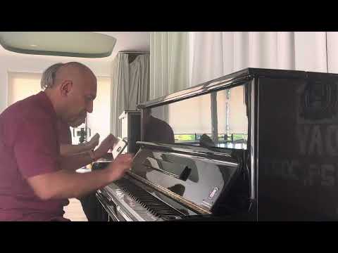 Видео: М. Дунаевский.Позвони мне, позвони . Аранжировка Виктора Платкова.