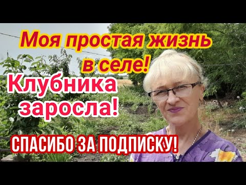 Видео: Живём в селе!Клубника заросла.Боремся с травой.