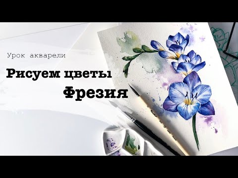 Видео: Рисуем цветы акварелью. Фрезия