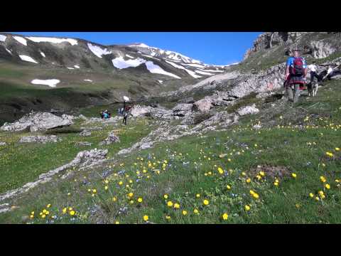 Видео: Убавините на Шара - Титов врв 2014