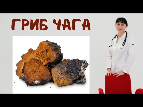 Видео: Чага для иммунитета, против старения и воспаления Доктор Лисенкова