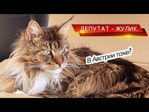 Видео: Депутат-жулик. В Австрии! Тоже бывает. Креативно!