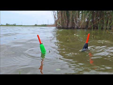 Видео: Я в шоці! Короп вкрав вудку, довелось плисти. Ловля коропа і карася на ПОПЛАВОК