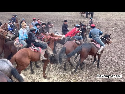 Видео: Алтынтобе Алдияр ініміздің сарсенбі құнан үйрету көкпар .көкпар әлемі.