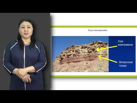 Видео: Матайбаева И.  лекция № 4   "Геологические процессы"
