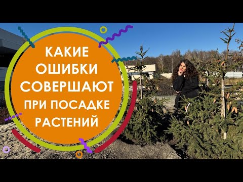 Видео: Какие ошибки совершают при посадке растений