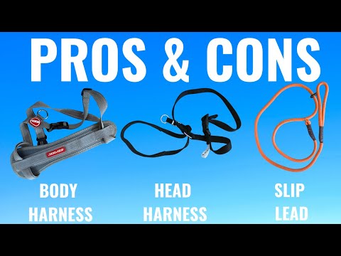 Видео: Ужасная правда о снаряжении для дрессировки собак