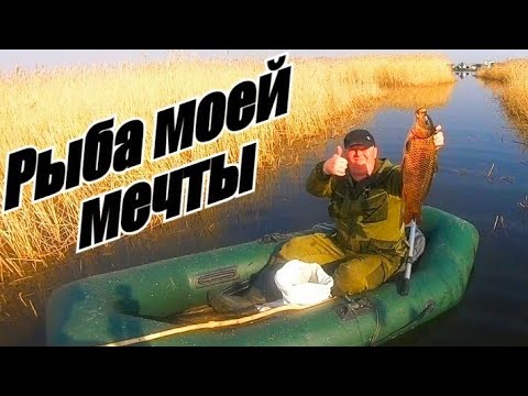 Видео: Рыбалка на паук!!! Рыбалка на сазана!!! Открыл сезон!!! Рыбалка 2020!!!