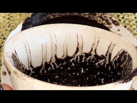 Видео: ❤️🔥ЛИЧНАЯ ЖИЗНЬ В БЛИЖАЙШИЕ ДНИ ❤️ ГАДАНИЕ НА КОФЕ ☕️