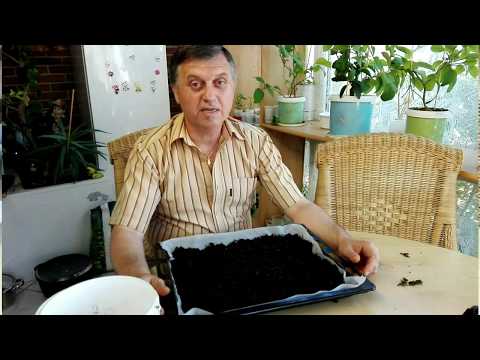 Видео: Иван чай в Германии  (третья часть)