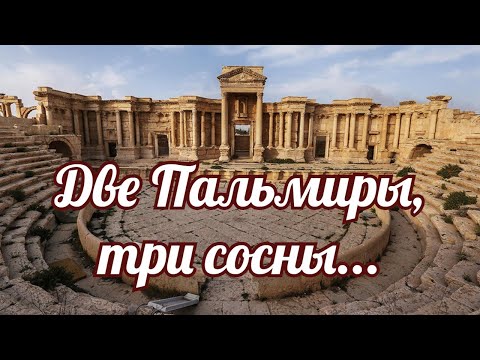 Видео: Две Пальмиры, три сосны.