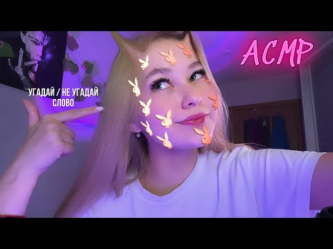 Видео: АСМР💦💗не угадай/угадай слово♨️