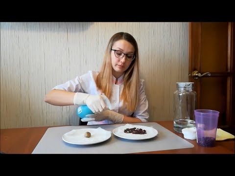 Видео: Что такое живая и неживая природа? Что вырастет из КАМНЯ? Проводим эксперимент!