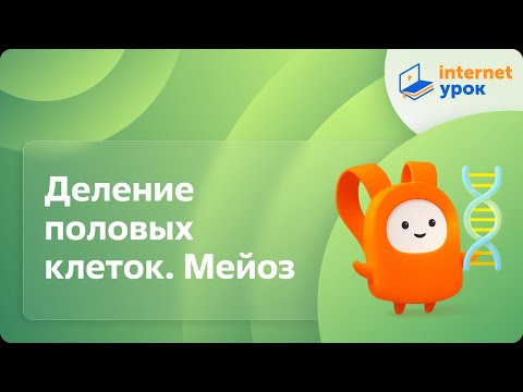 Видео: Деление половых клеток. Мейоз. Видеоурок по биологии 9 класс