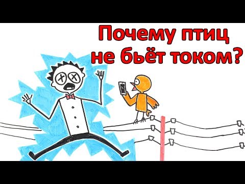Видео: Почему птиц, сидящих на проводах, не бьет током?