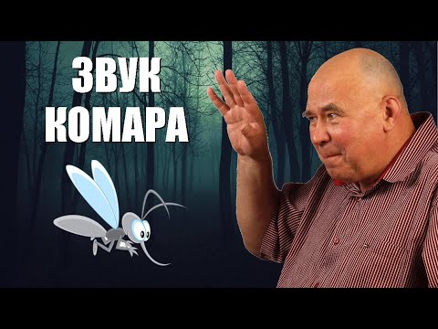 Видео: С какой частотой машет крыльями комар?