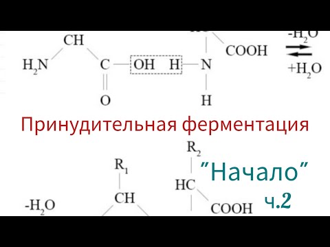 Видео: Принудительная ферментация ч.2