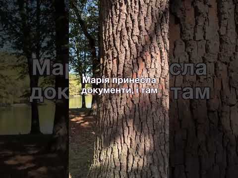 Видео: Непросте розлучення