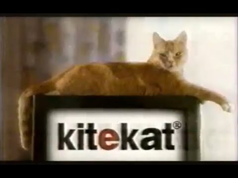 Видео: Анонсы + Рекламный блок + Региональная реклама (СТС/Канал 6 [г. Казань], май 1998)