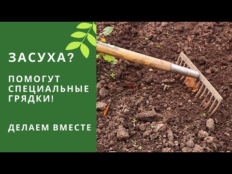 Видео: Делаю новые грядки для засушливого климата