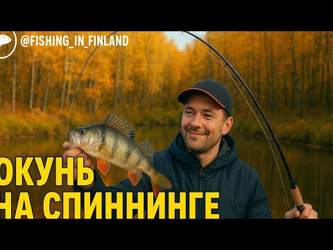 Видео: "Вот это поклёвки! Рыбалка на реке осенью!"